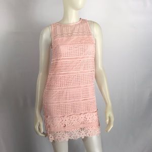 Abercrombie and Fitch Pink Lace Mini Dress